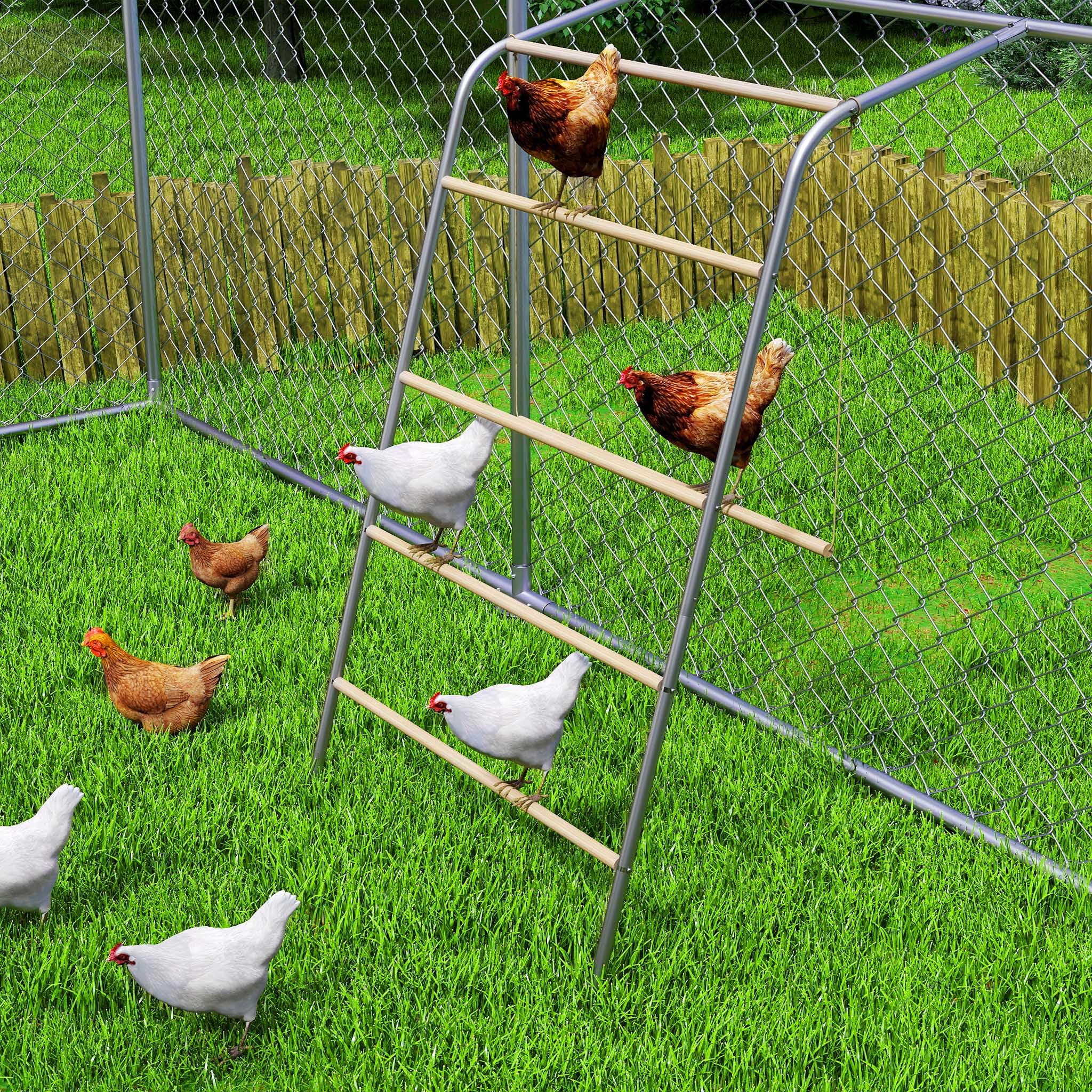 FIVMEN Balançoire pour poules à 5 niveaux - Perchoir en bois - Échelle - Perchoir - Jouet pour aire de jeux - Accessoires pour poulailler - Enclos libre