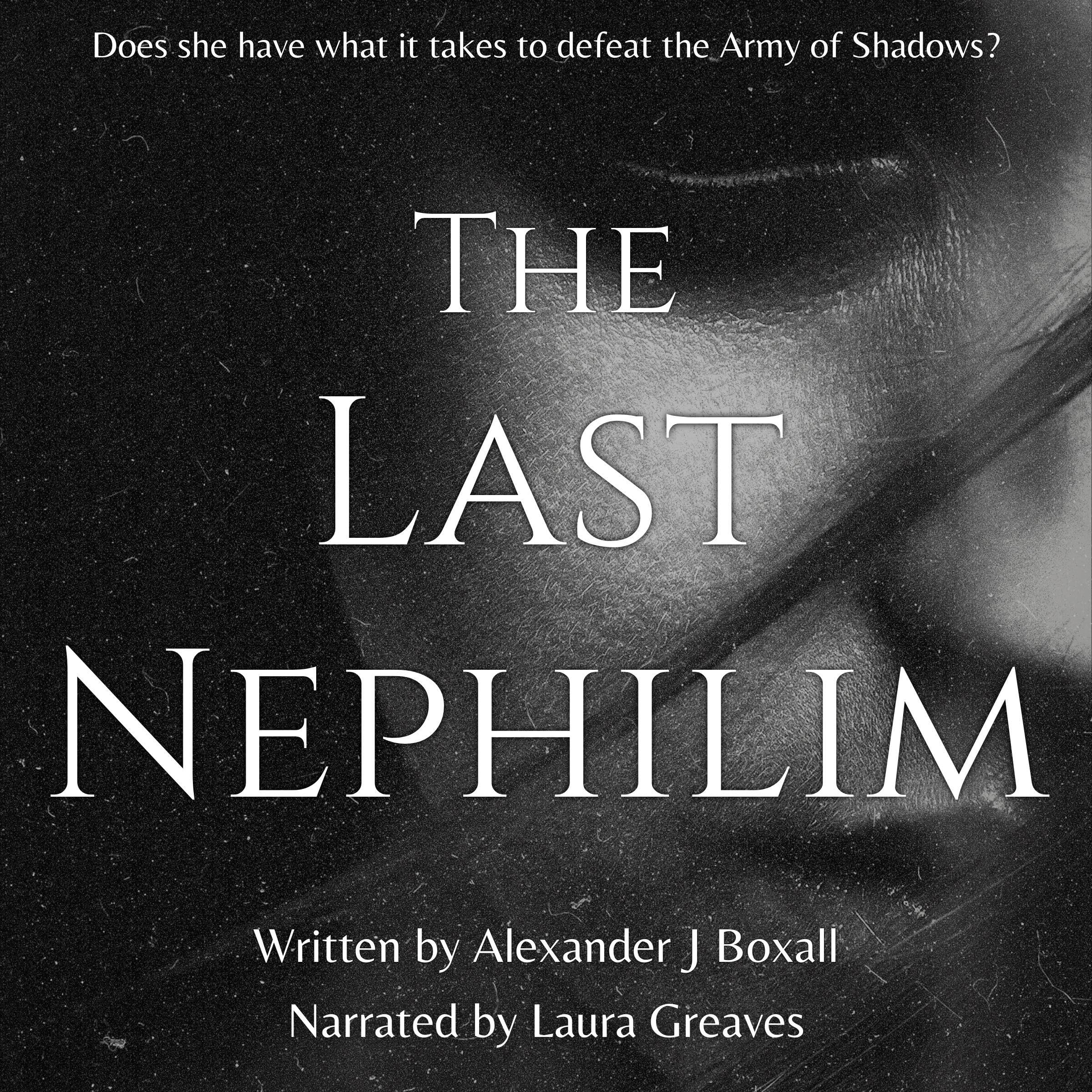 Cover art for The Last Nephilim