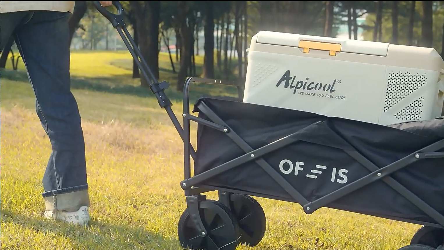 Amazon.co.jp: Alpicool ポータブル冷蔵庫 車載冷蔵庫 車載冷蔵冷凍庫