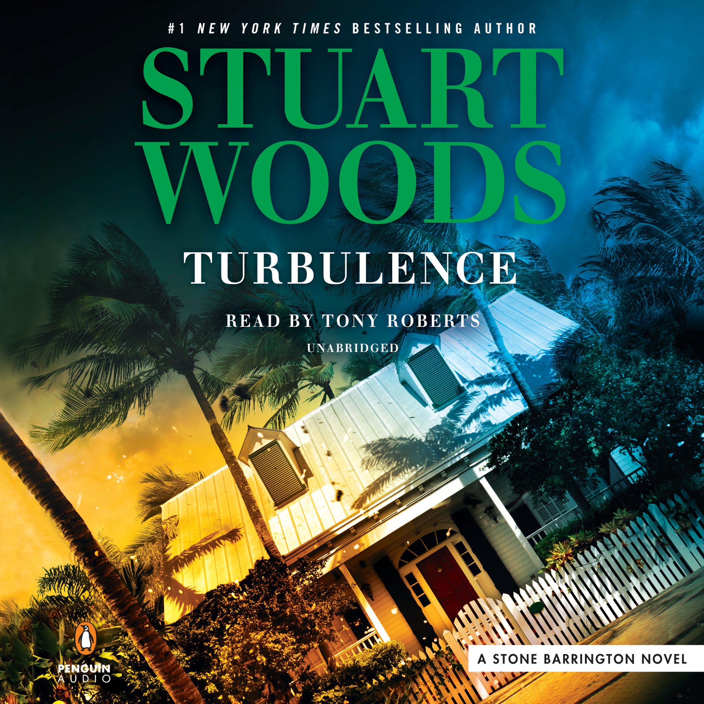 Cover art for Turbulence