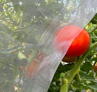 Meuallikit 10x20 Ultra Fine Garden Insect Netting Mesh - Bug Bird Squirrel Protection for Plants Vegetables Fruits Greenhouse Raised Beds