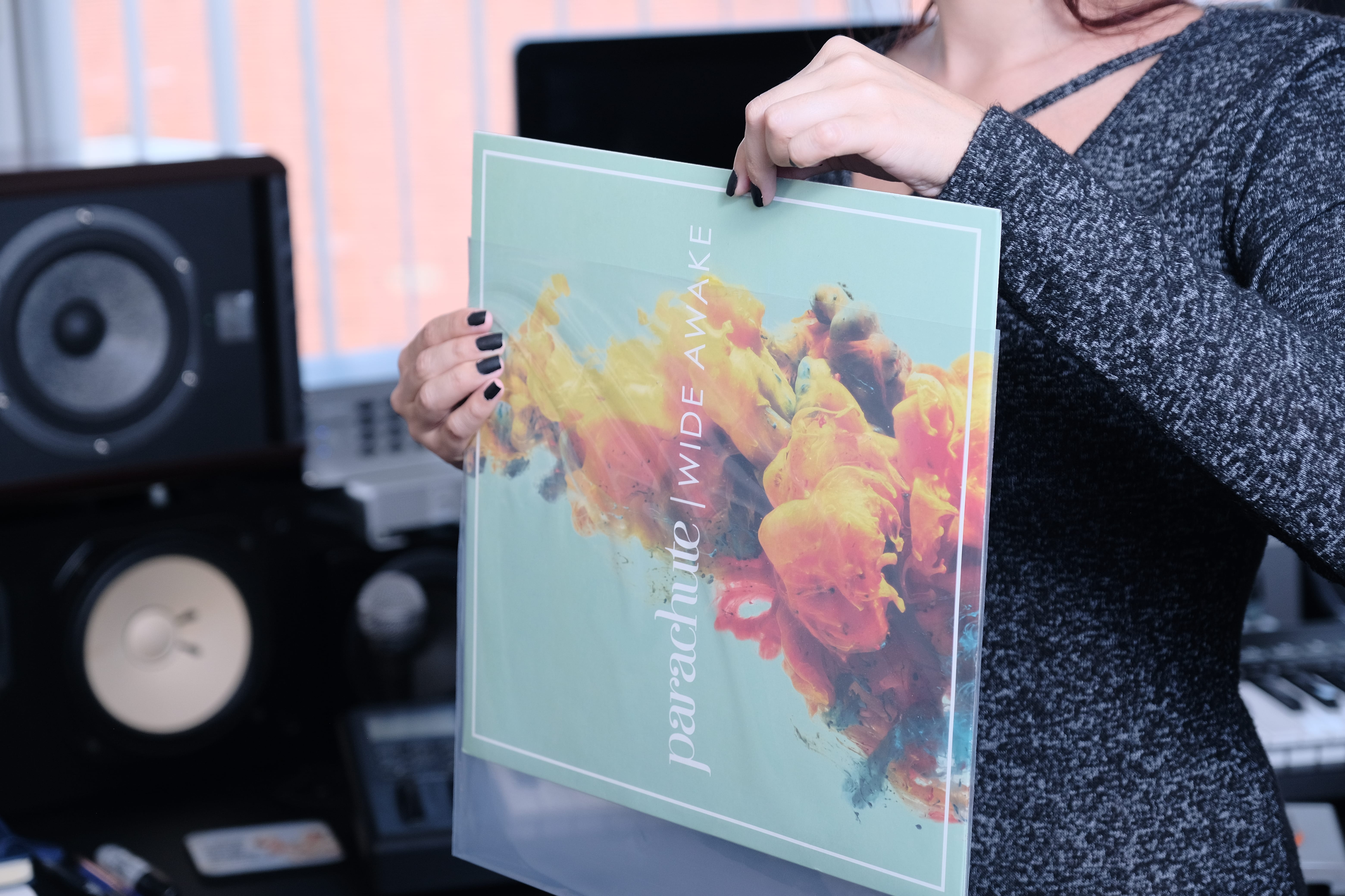 Amazon.com: Hudson Hi-Fi Flexible Archival-Grade Vinyl Jacket