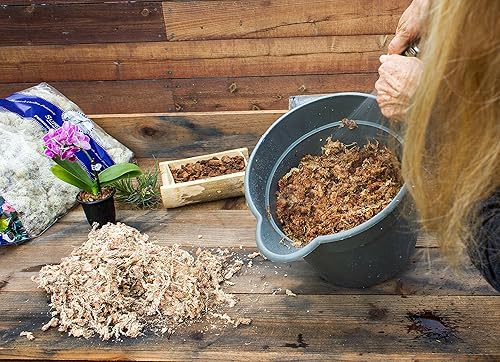 Miniatura 6 de SuperMoss - Musgo seco para orquídea sphagnum seco