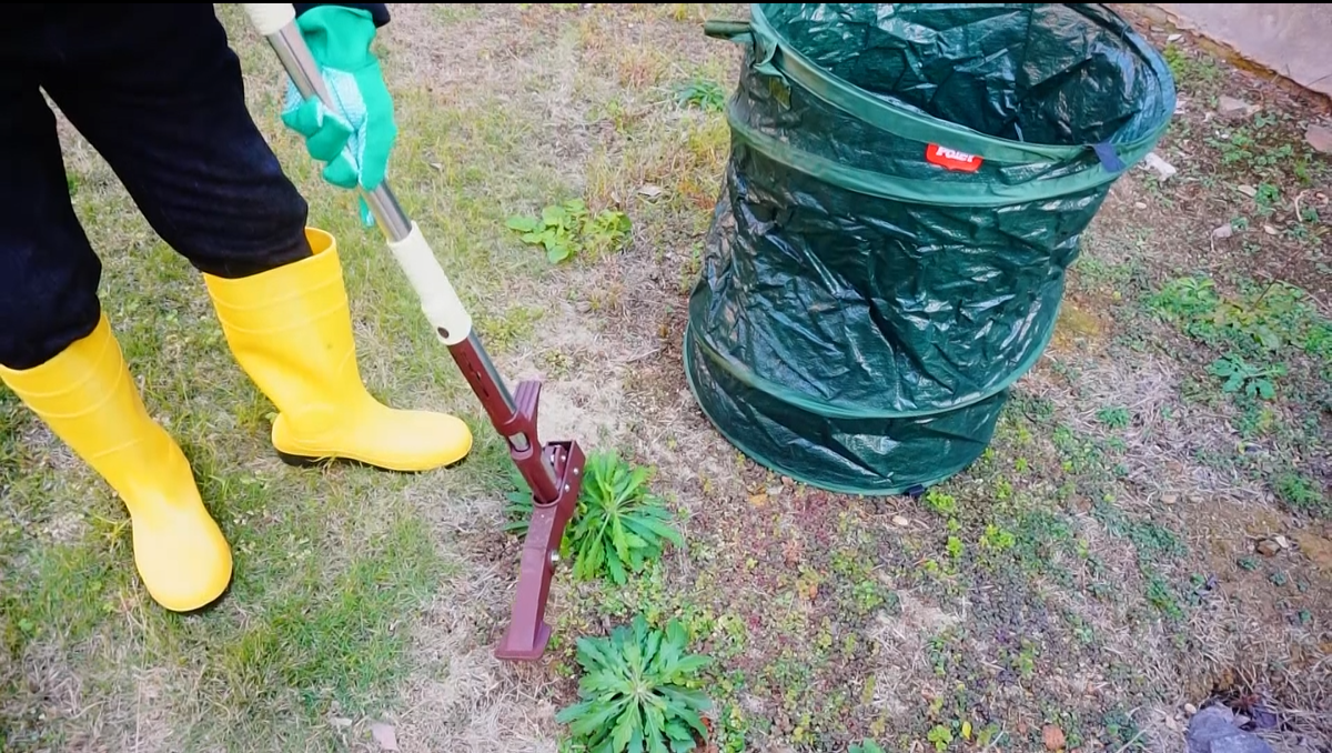 Estrattore Erbacce Winslow & Ross - 4 Artigli Acciaio, Telescopico 100cm, Pedale - Foto 4