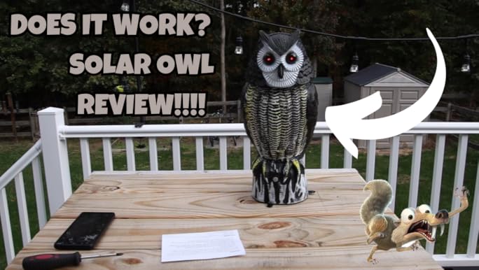 Amazon.com: Solar Bird Repellent, Owl Decoy Bird Deterrent