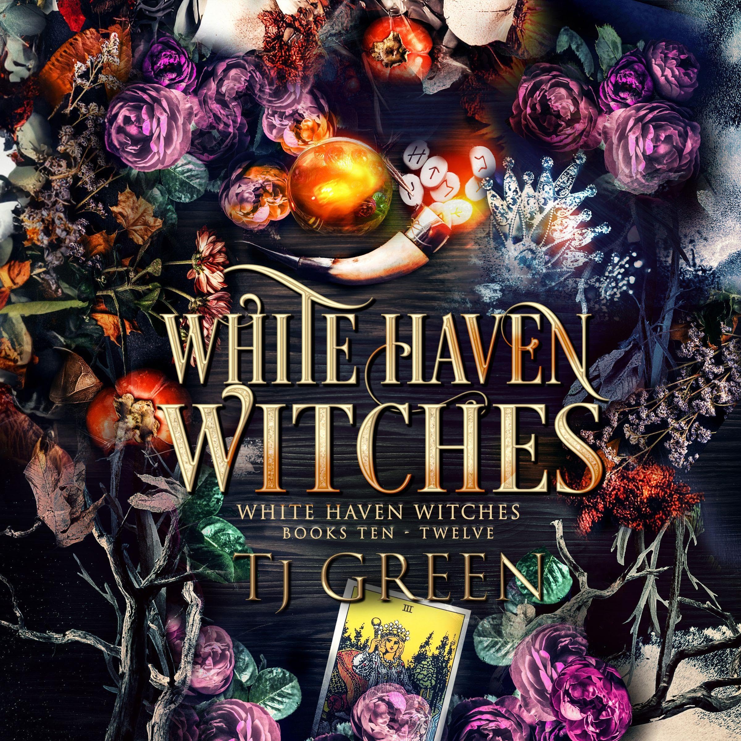 Cover art for White Haven Witches, Books 10-12