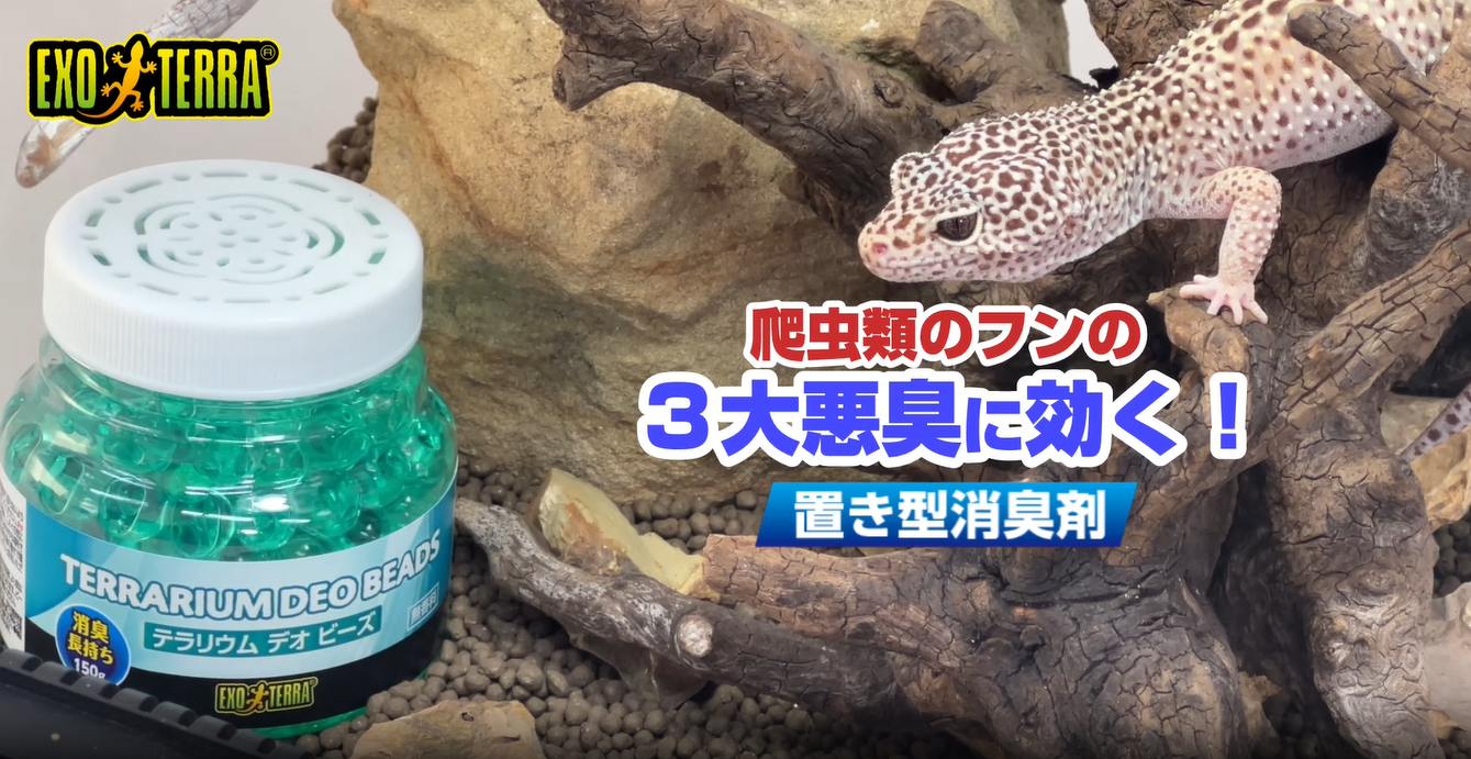 Amazon.co.jp: エキゾテラ テラリウム デオ ビーズ 爬虫類の3大悪臭に