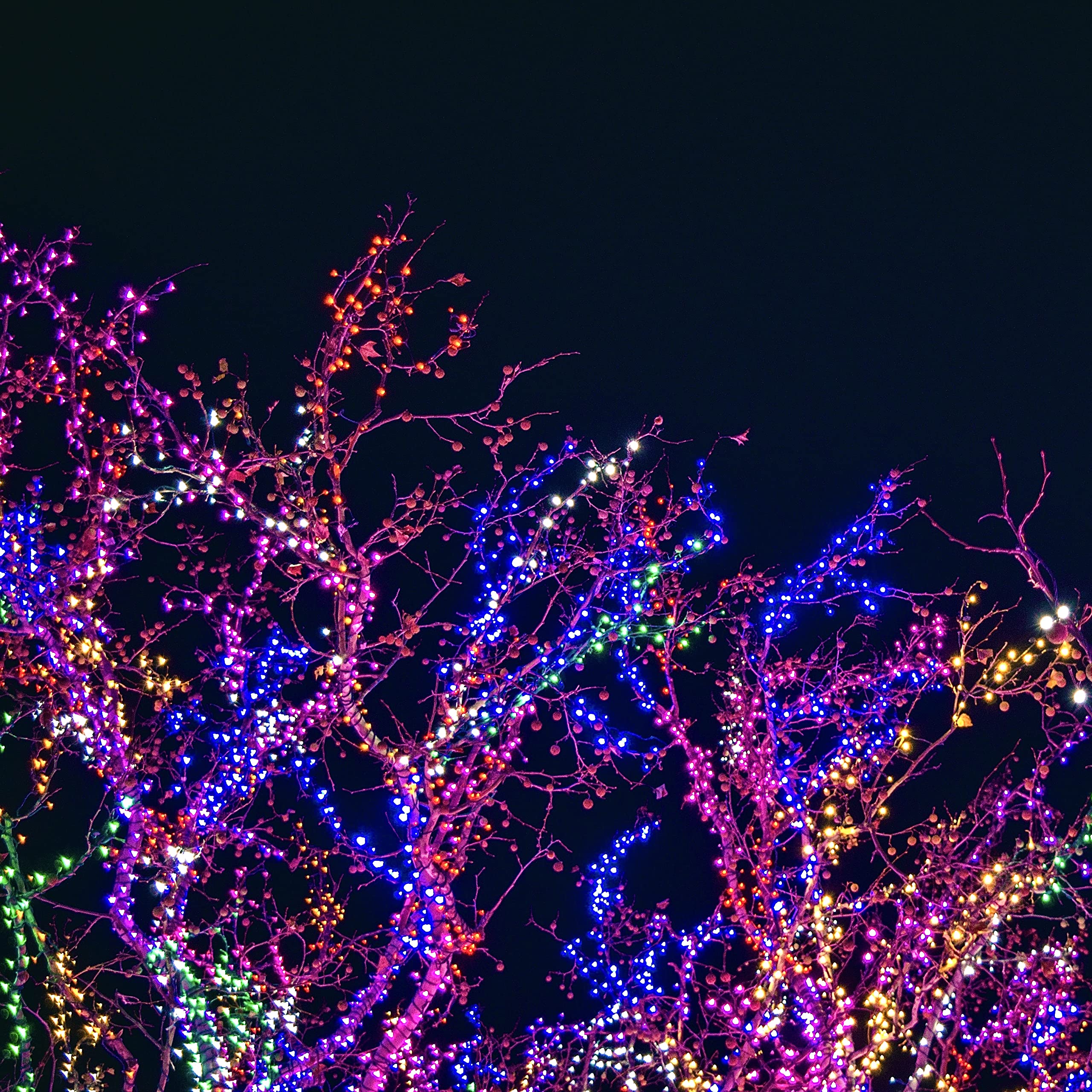 Lichterkette, 20 LEDs, batteriebetrieben, silberfarben, Kupferdraht, Sternenlichterkette, für DIY, Party, Weihnachten, Kostüm, Hochzeit, Ostern, Tischdekoration (mehrfarbig)