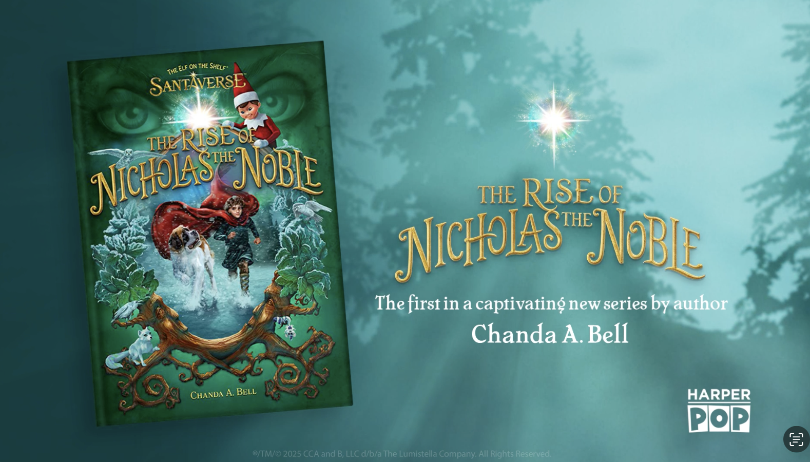 Amazon.com: The Elf on the Shelf: Books & DVDs