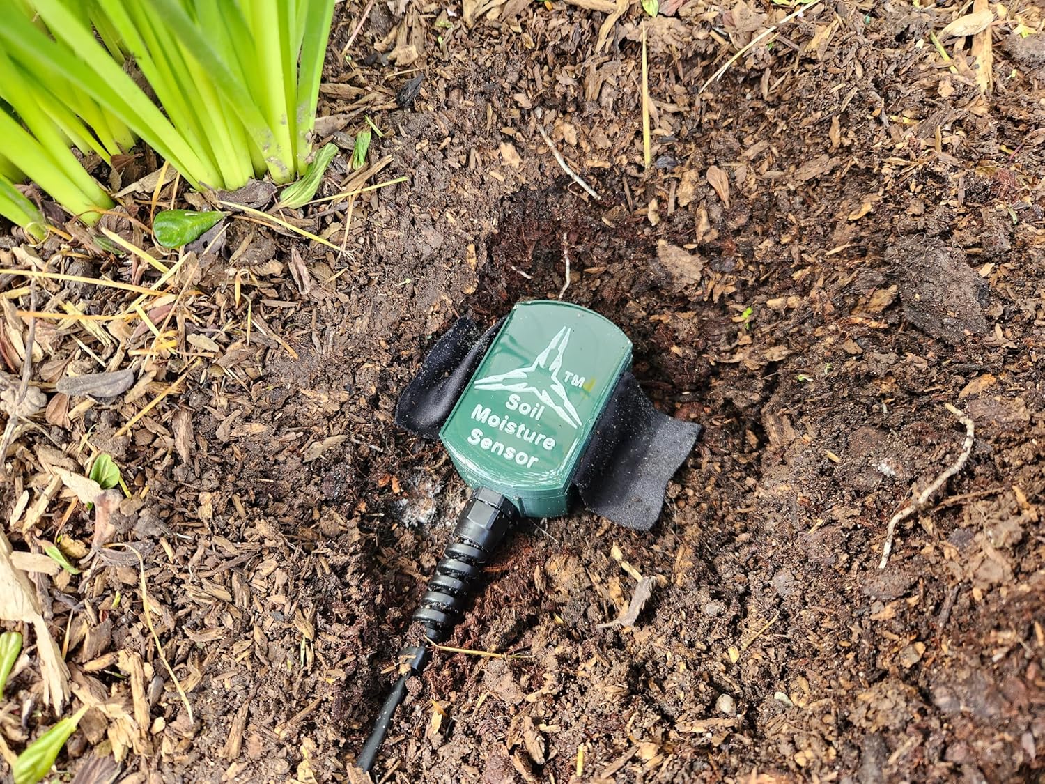 Optical Membrane Soil Moisture Sensor - Technology Demonstrator