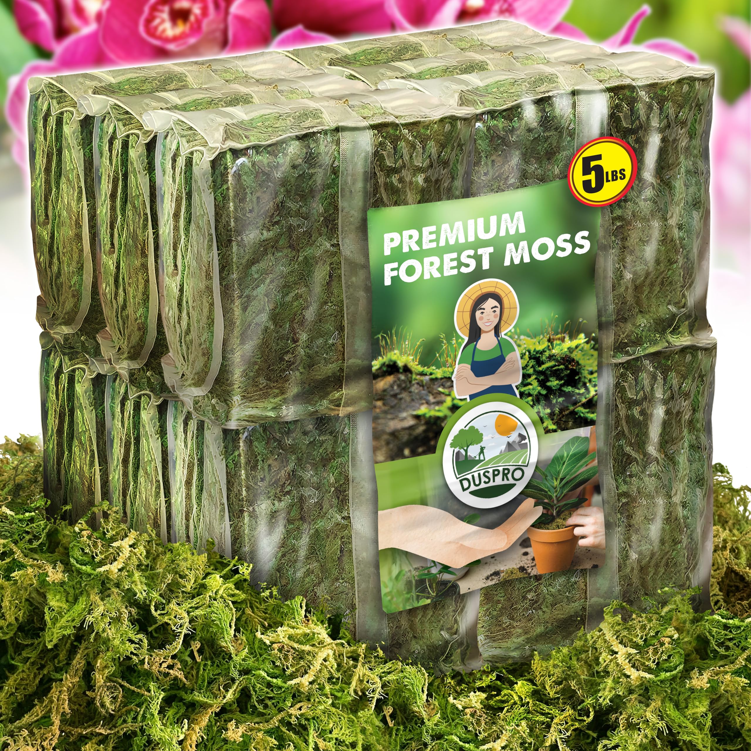 Amazon.com : DUSPRO 5 LBS Big Bag Dried Forest Moss for Plant