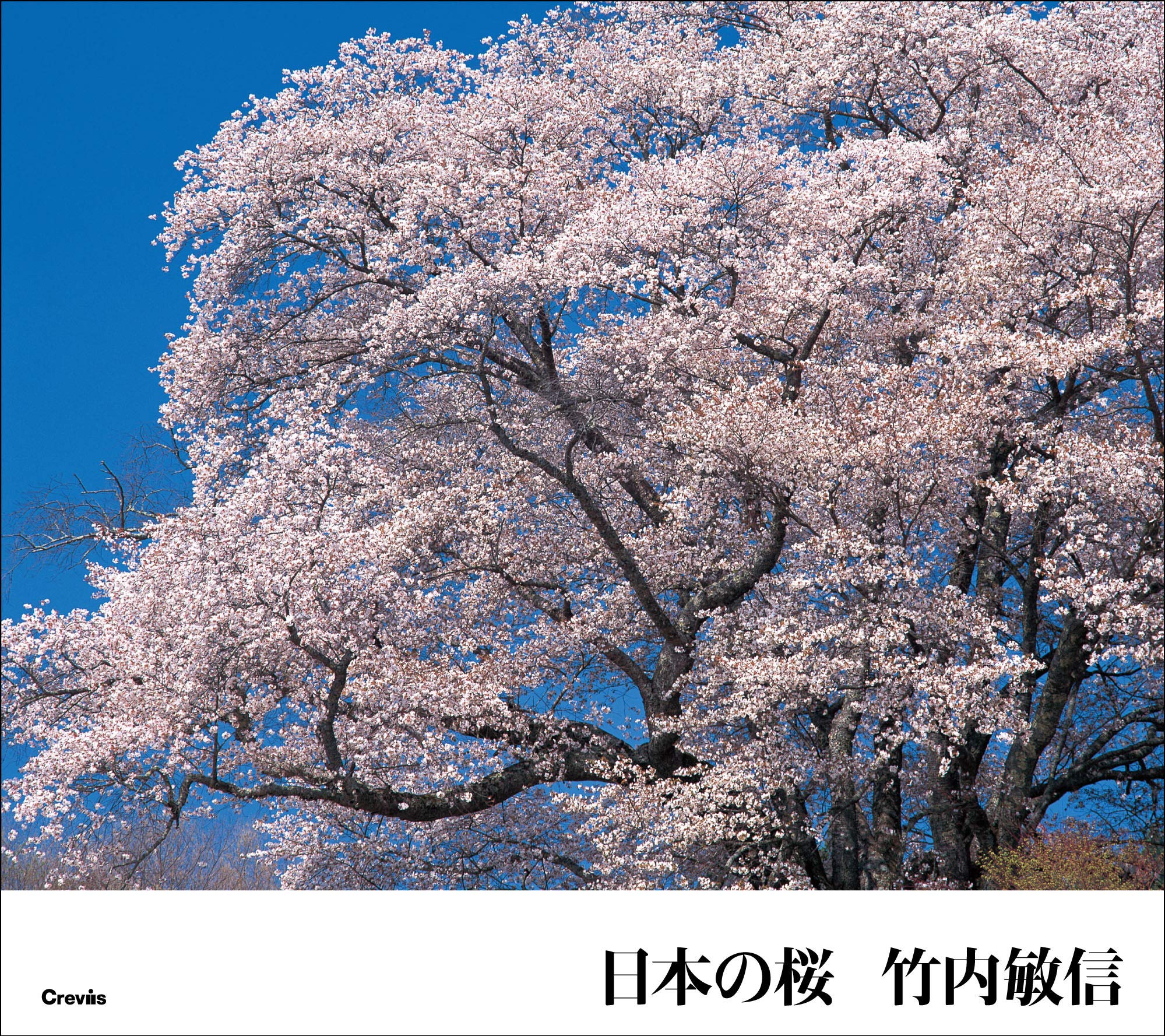 日本の桜 | 竹内 敏信 |本 | 通販 | Amazon