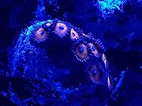 Review Image by Tiffany Hoffman Tiffany Hoffman