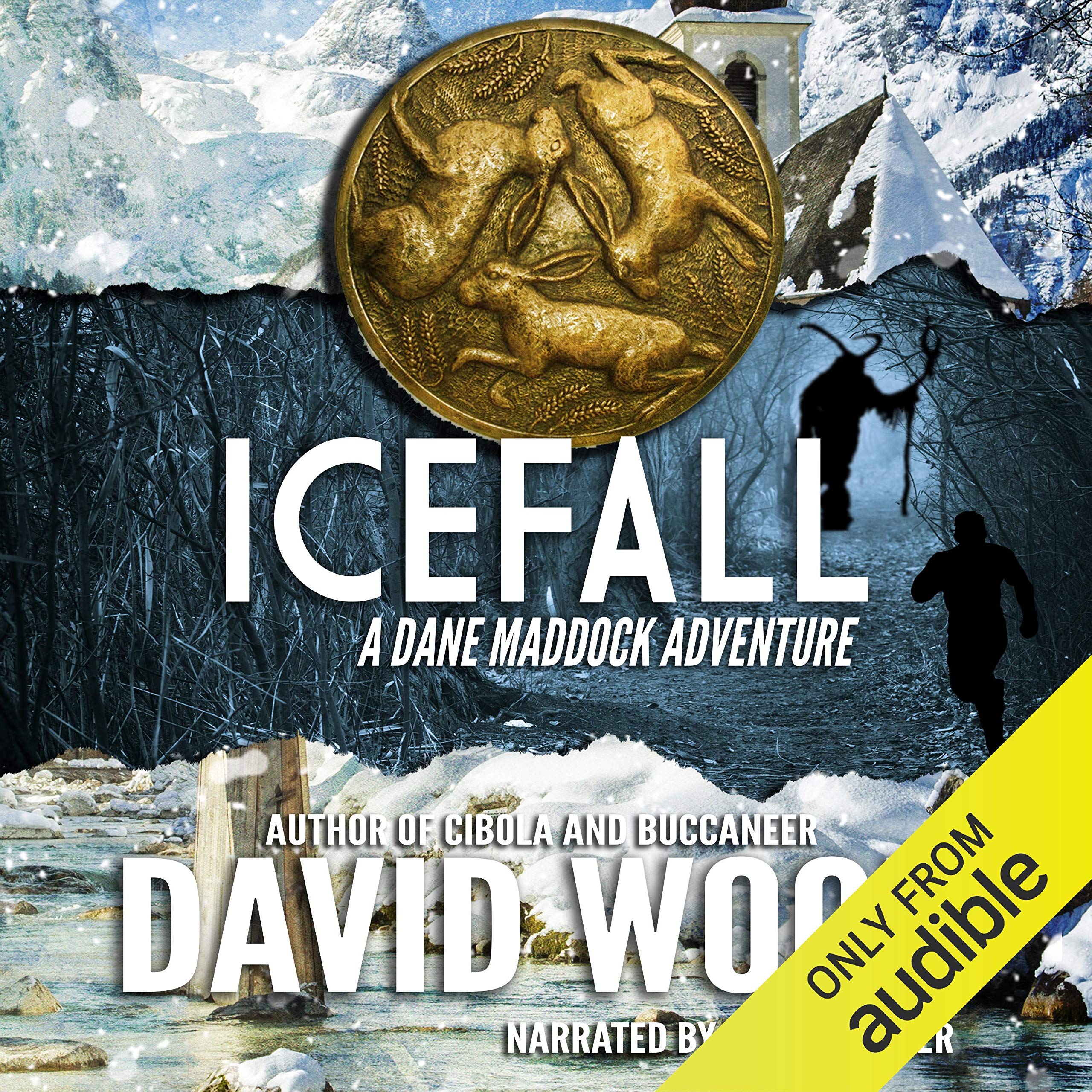 Cover art for Icefall
