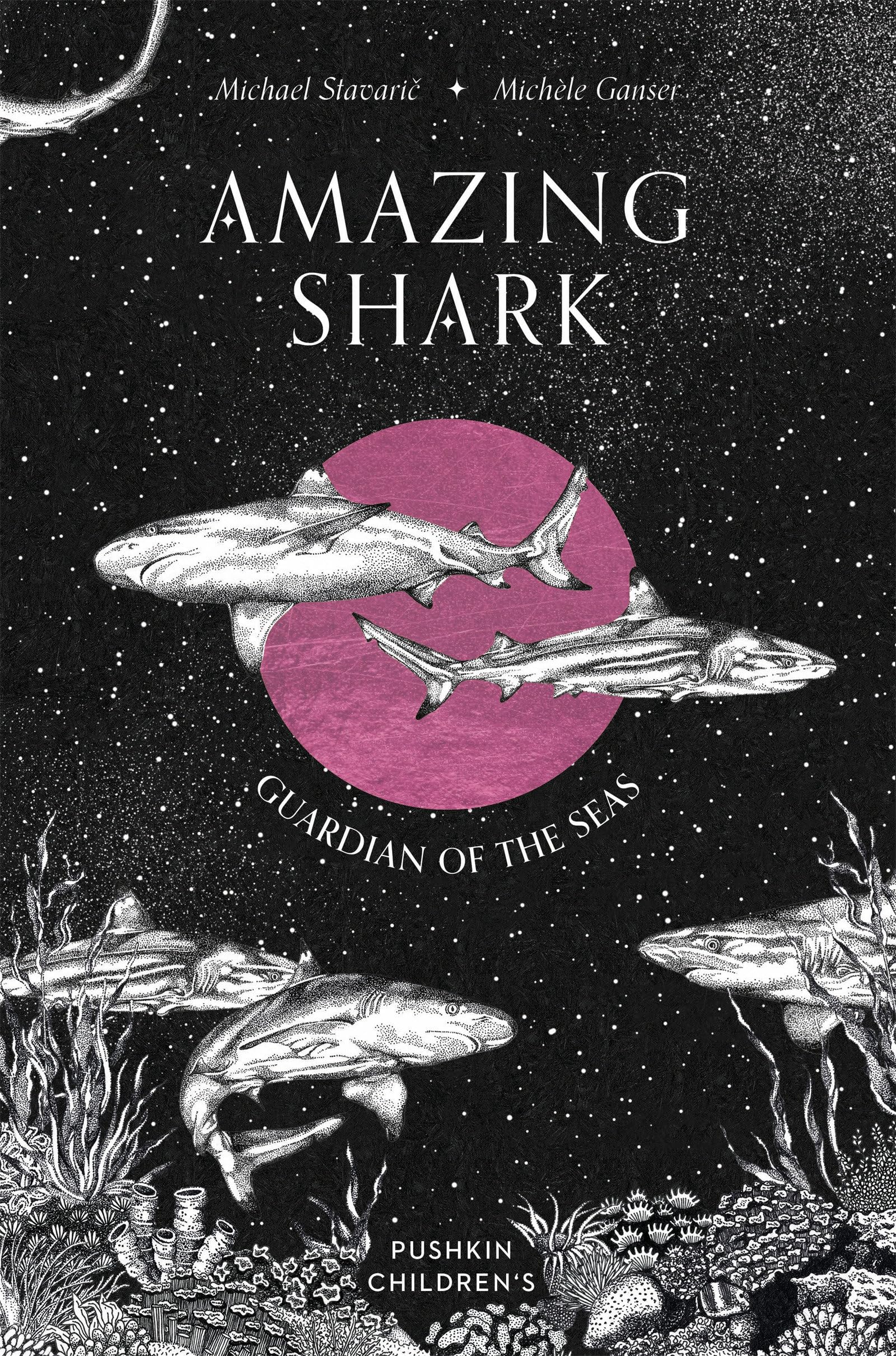Amazing Shark by Michael Stavaric, Michle Ganser, Oliver Latsch - 9781782695530