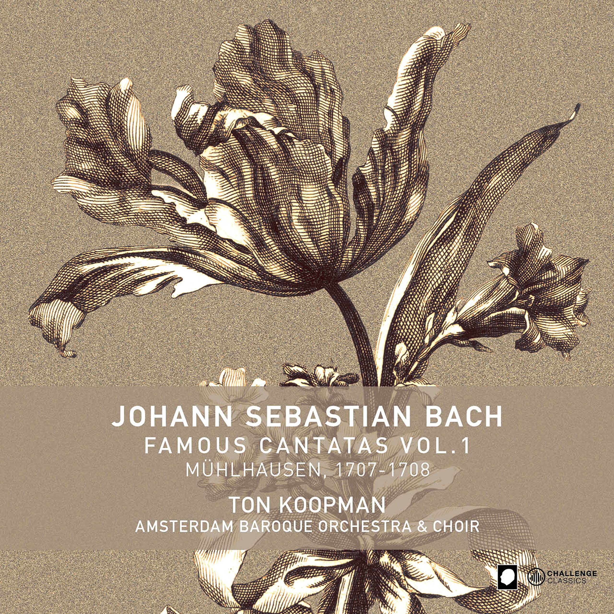 J.S. Bach: Famous Cantatas Vol. 1