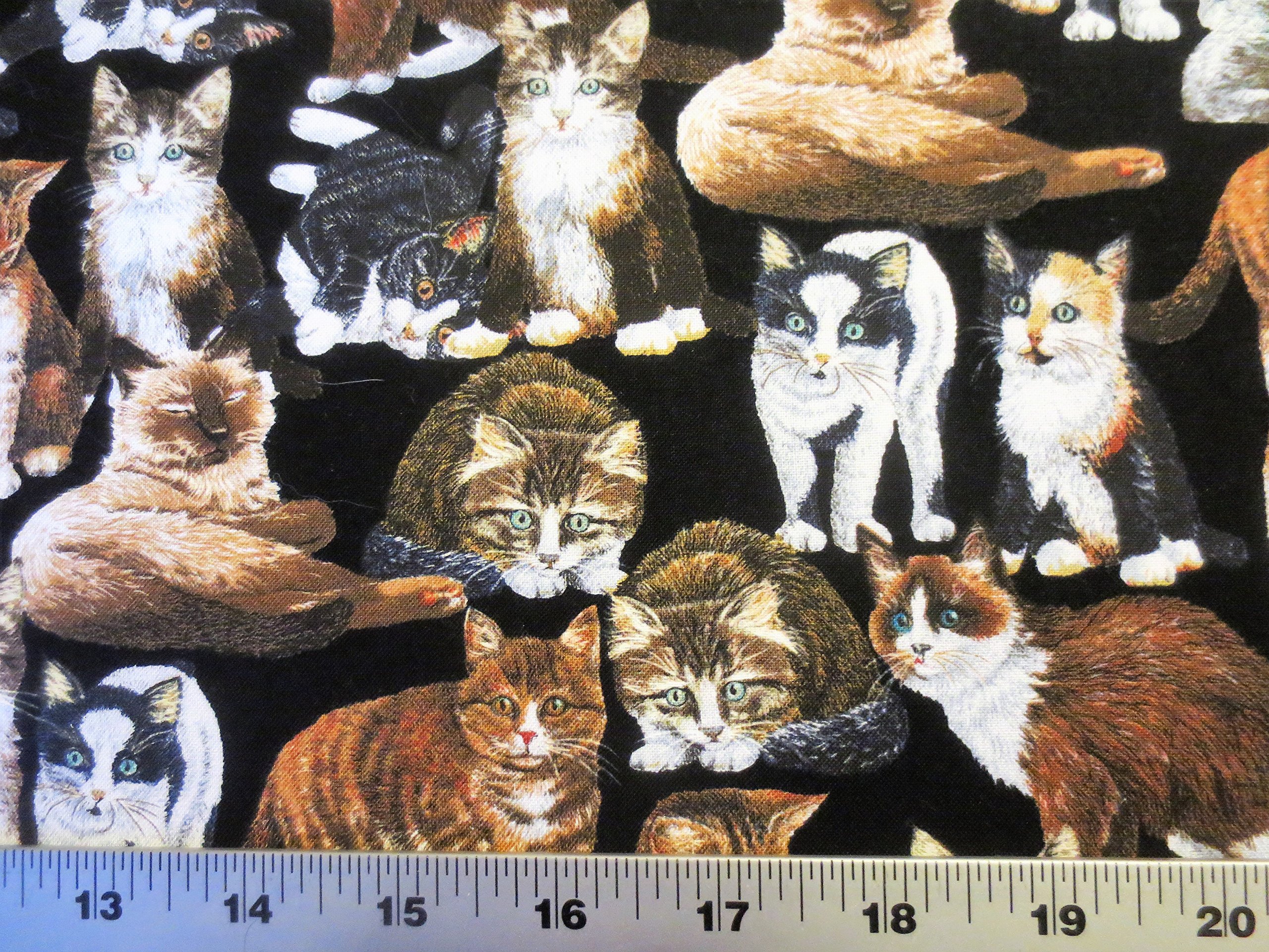 Kitty CityHow About A With Cats On Brown Marcus Brothers R22D565162D