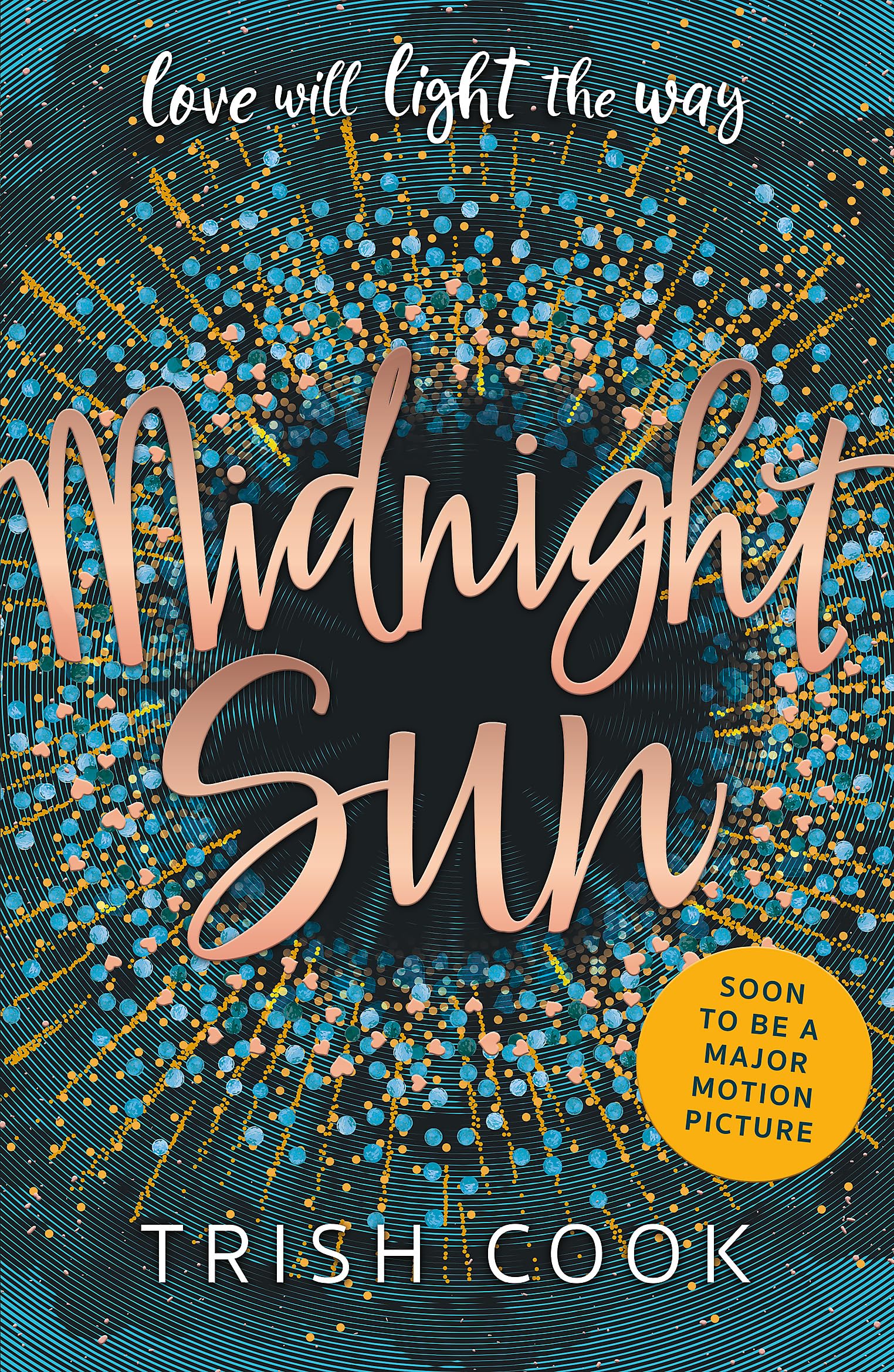 Midnight Sun by Trish Cook PAPERBACK 9781444941784