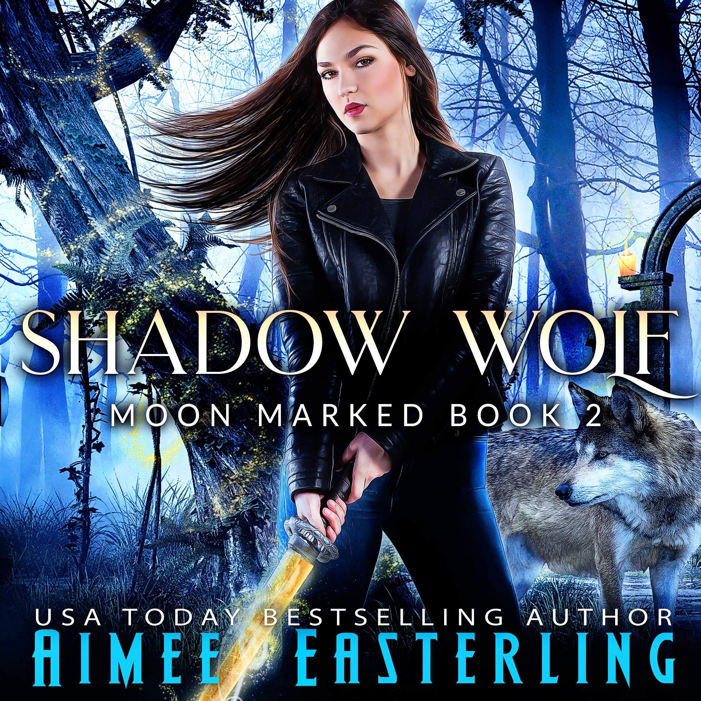 Cover art for Shadow Wolf