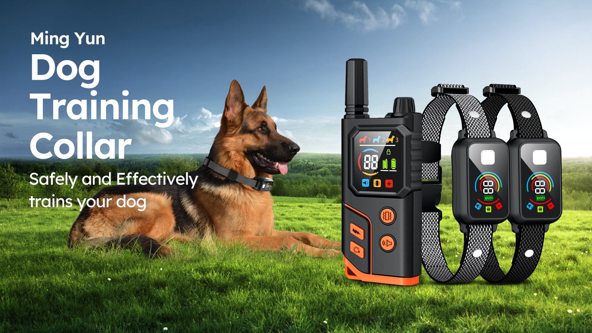 【Shiho】Ameri　RETURN COLLAR ALL IN ONE Amazon.com: Dog Shock Collar 2 Dogs,4000FT with Flash Light