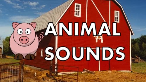 Animal Sounds