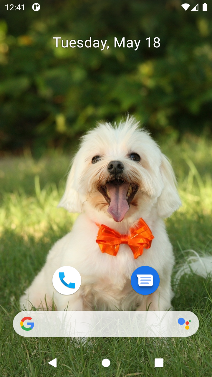 Cute Dog Wallpaper App on Amazon Appstore