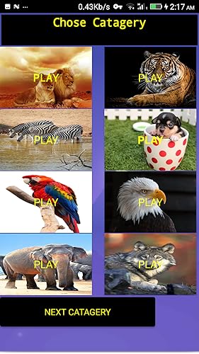 Animal Sound For Kids 13+
