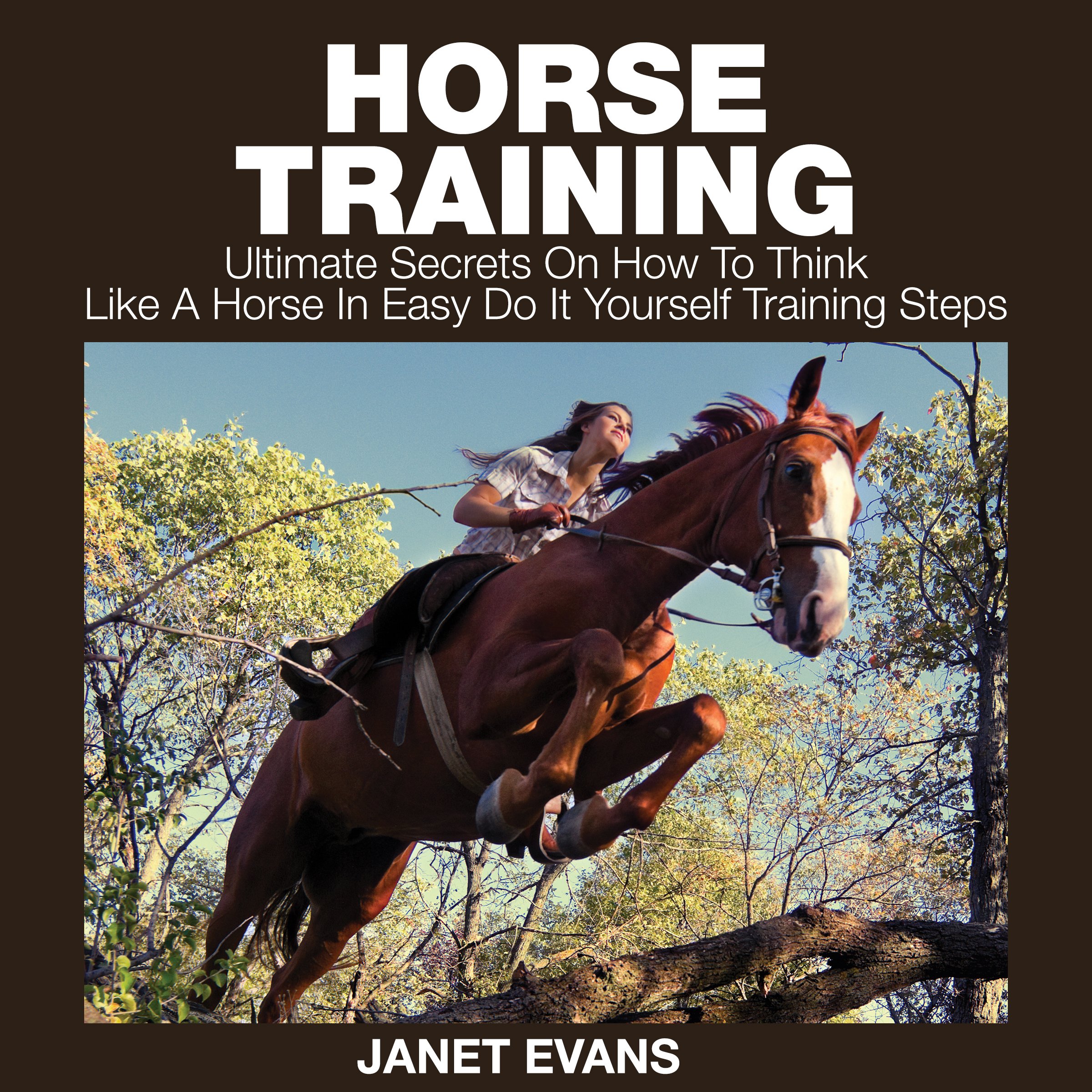Horse Training