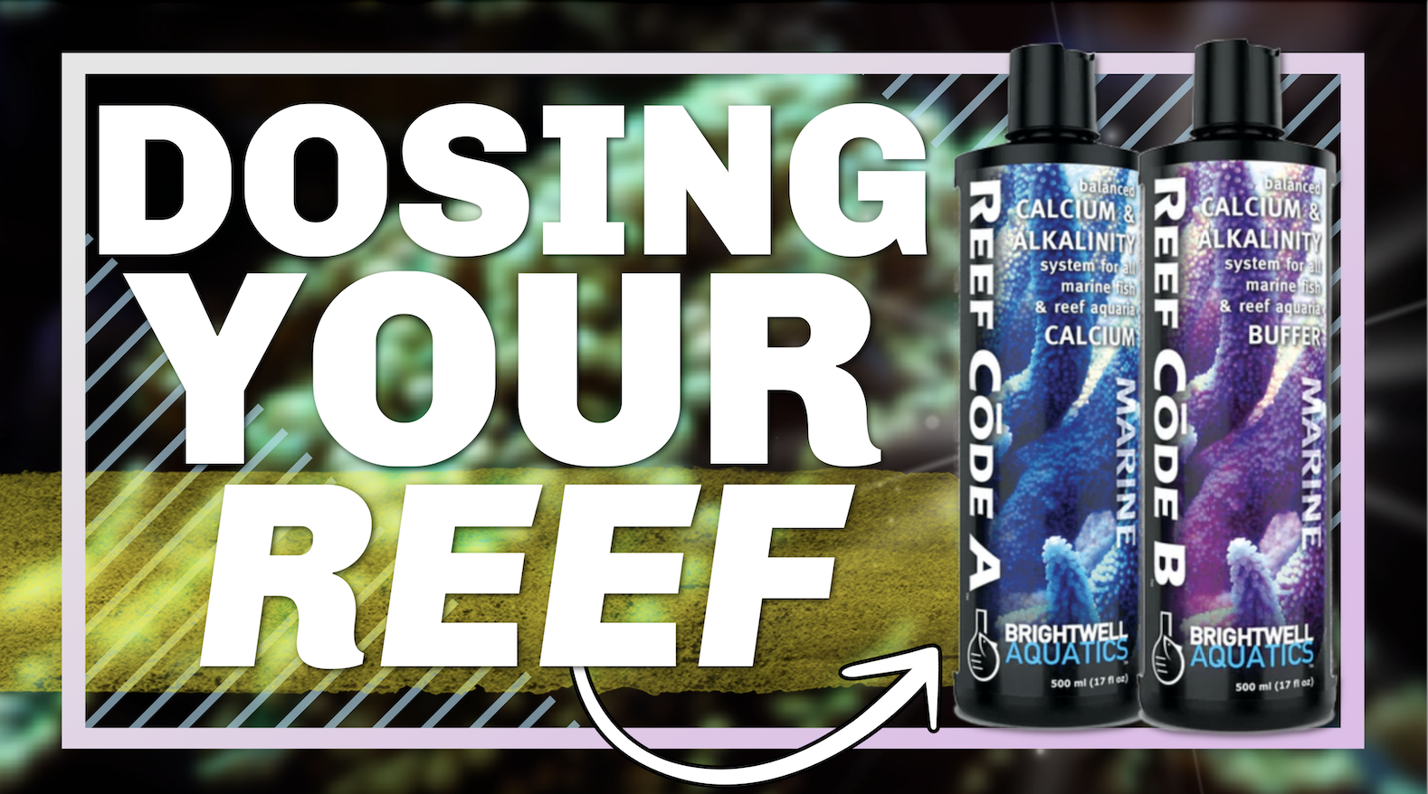 Amazon.com : Brightwell Aquatics - Reef Code A - Balanced Calcium