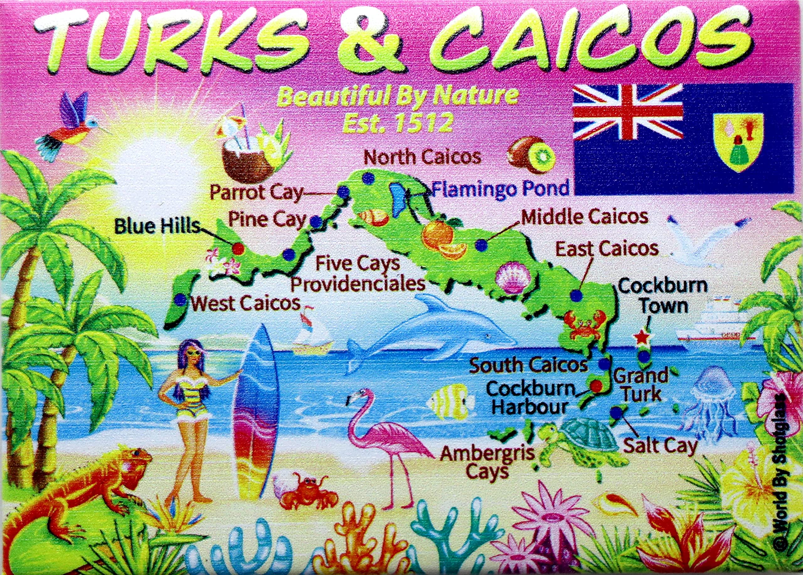 Turks & Caicos Landmarks Collage Shot Glass - 2.25\" Tall Souvenir Collectible