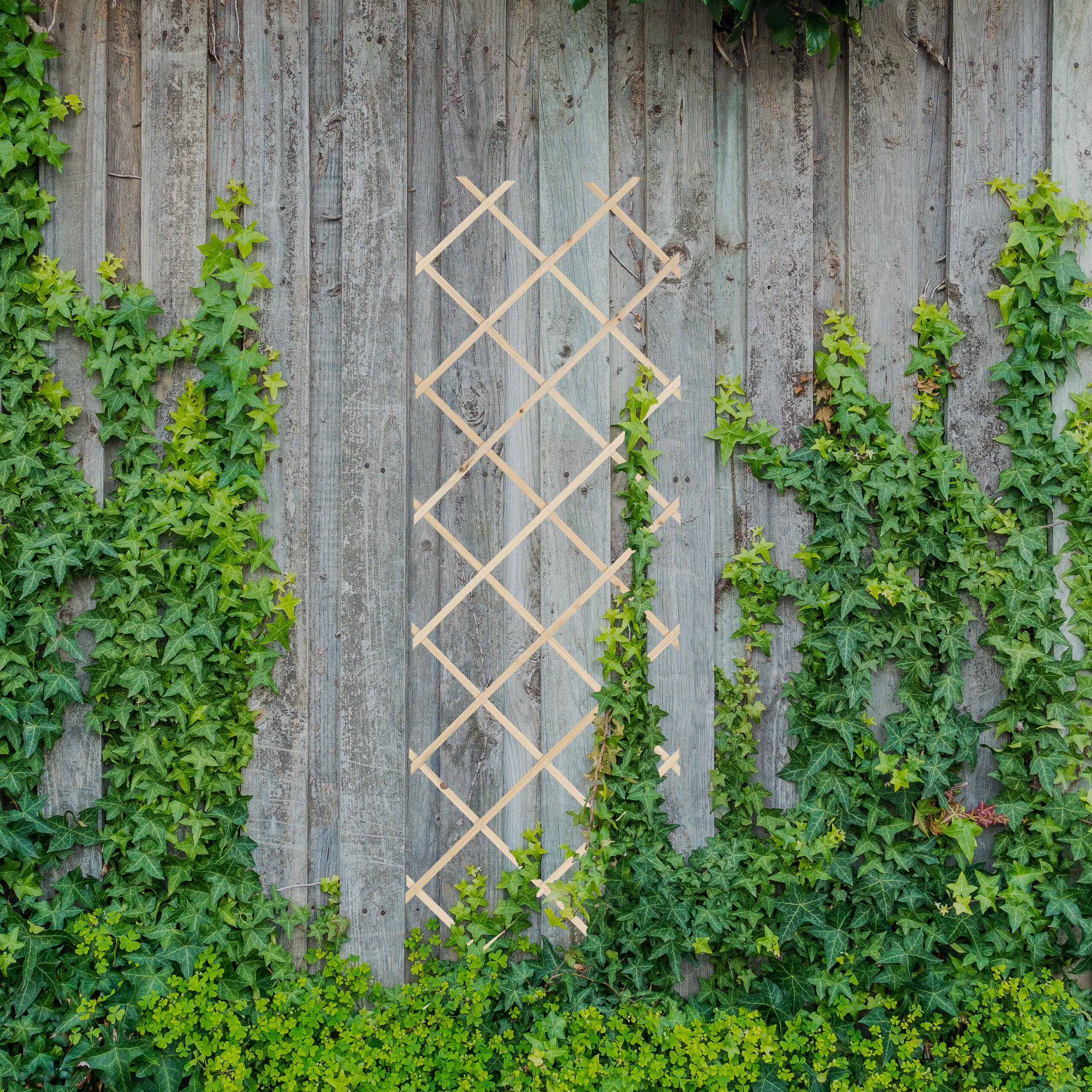 Relaxdays Set 3 Tralicci Legno Per Piante Rampicanti 180x60cm - Grigliato Estensibile Fiammato Per Giardino - Foto 10