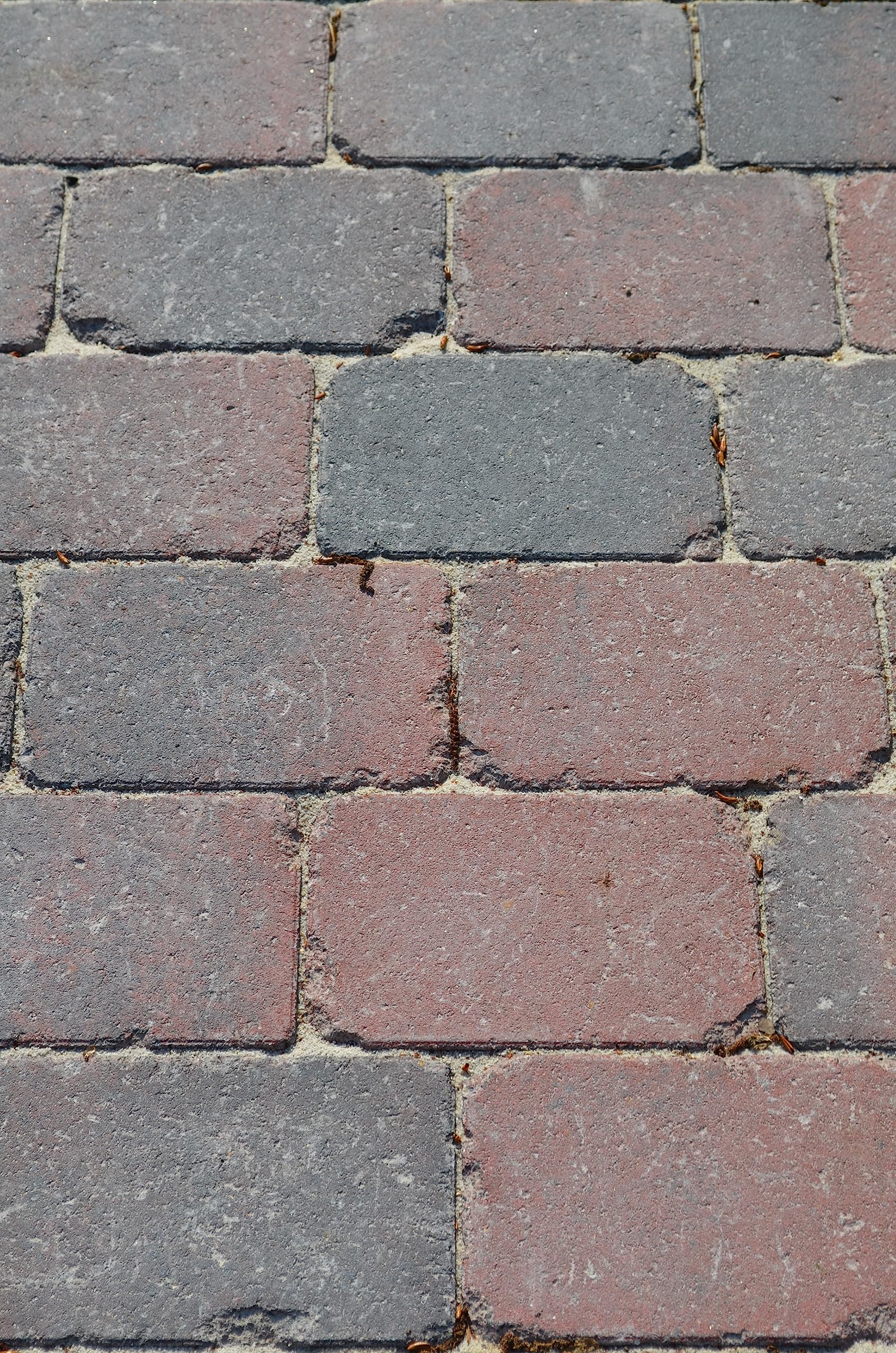PFM Polymer-Fugen-Material Farbe: rotgrau Sorte 701 für Fugen ab 2 mm Breite. Das Fugenmaterial der Profis für Pflaster- und Plattenbeläge auch für befahrene Flächen. 25 kg Eimer