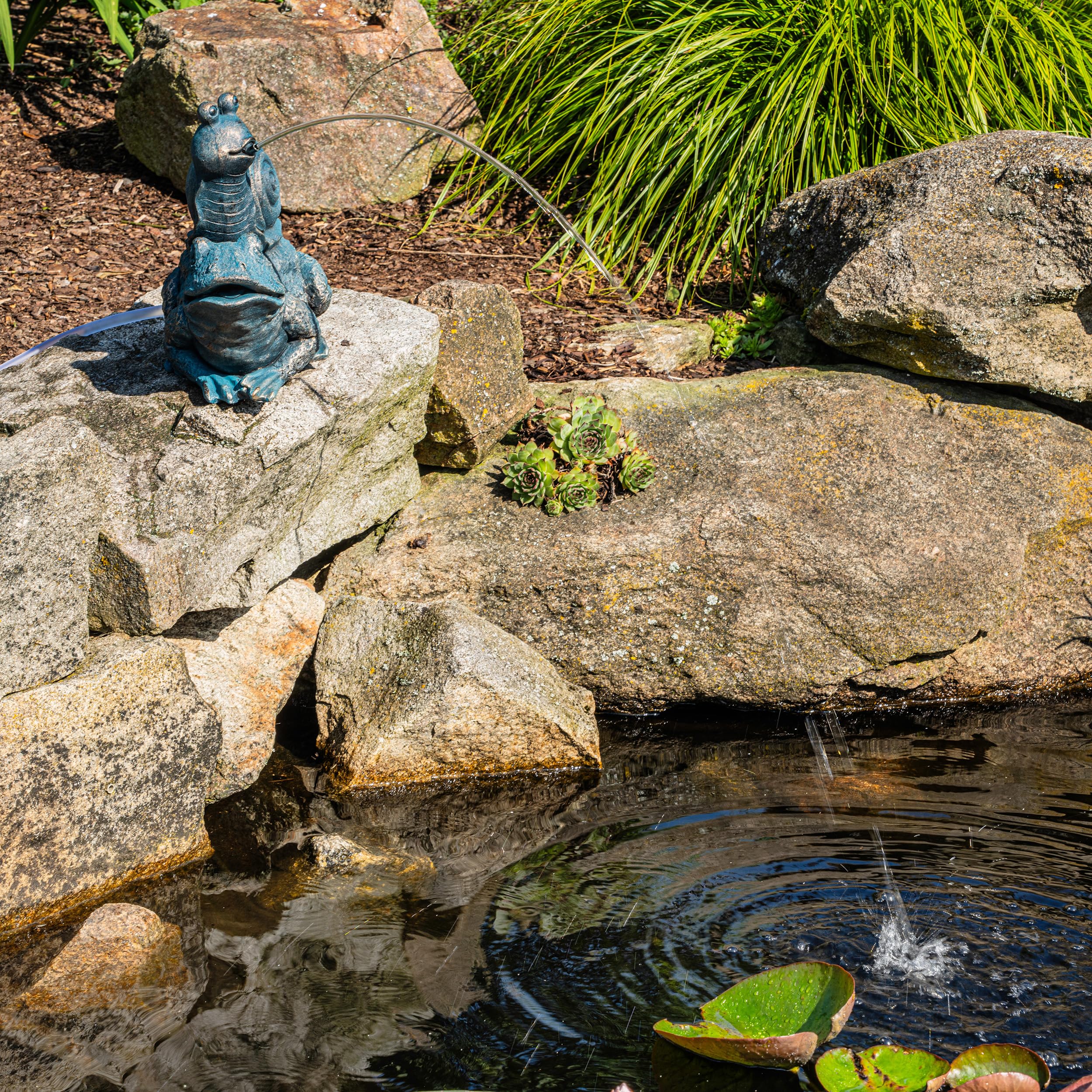 Esotec Solar Wasserspeier Komplettset, Max und Moritz, Frosch mit Schnecke, Gartenteich Wasserspiel, Vogeltränke, Gartenbrunnen mit Solarpumpe, H=26,5cm 101684