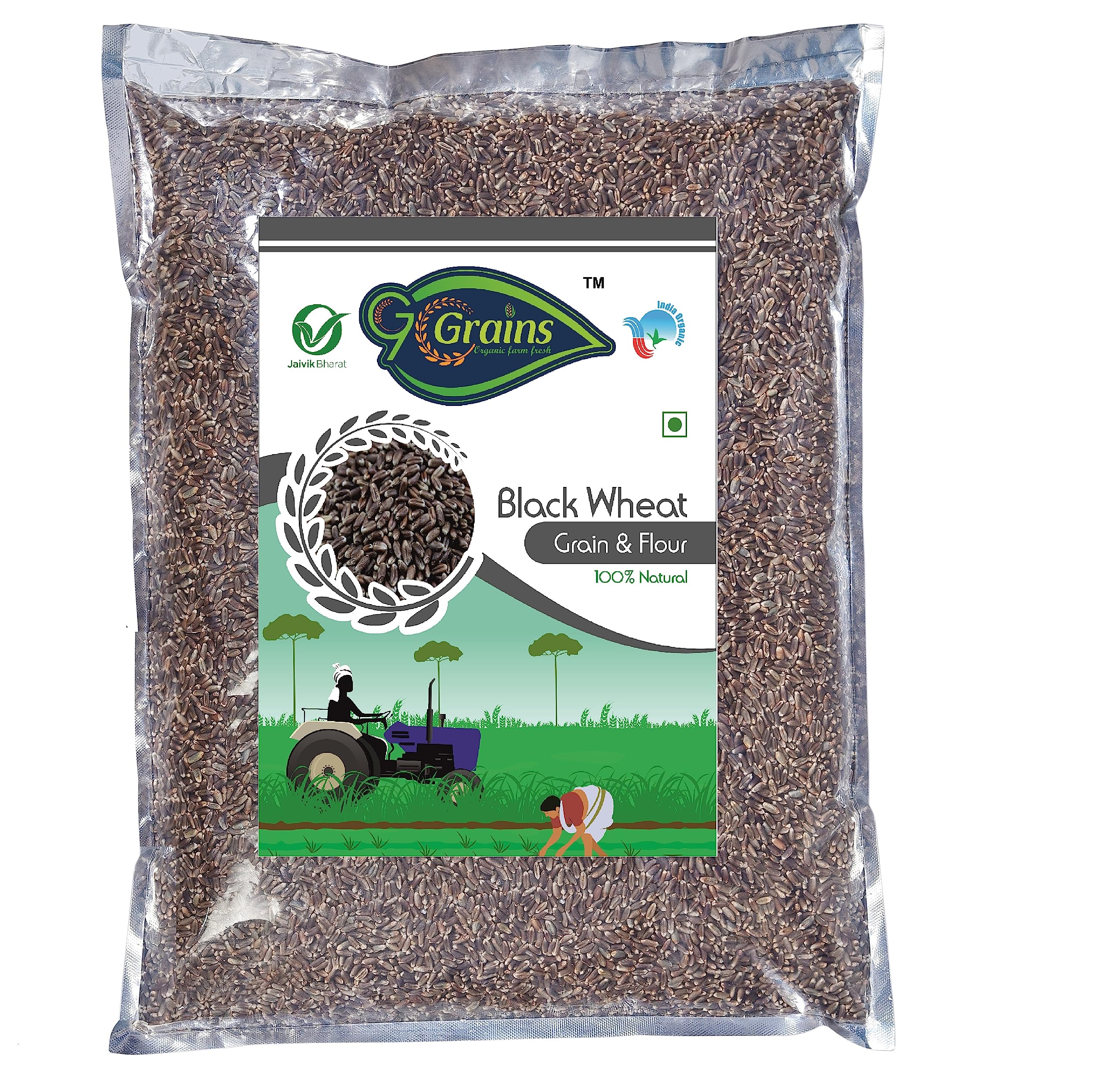 G7 GRAINS Black Wheat Grains (5 Kg) For Eating And Cooking | Kale Gehu Daane | Produce Of India From Organic Farms | By (B0CBP7YW99) Amazon Price History, Amazon Price Tracker