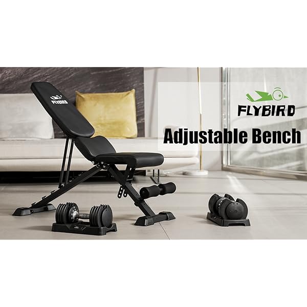 FLYBIRD Workout Bench, Adjustable Weight Bench Folding Weight Bench