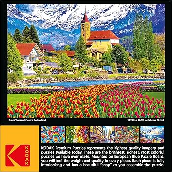 ルミスパ　一式セット Amazon.com: RoseArt - Kodak Premium - Brienz Town and Flowers
