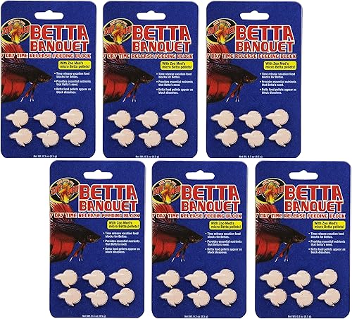 Zoo Med Betta - Lote de 6 tarjetas para banquetes 6 unidades