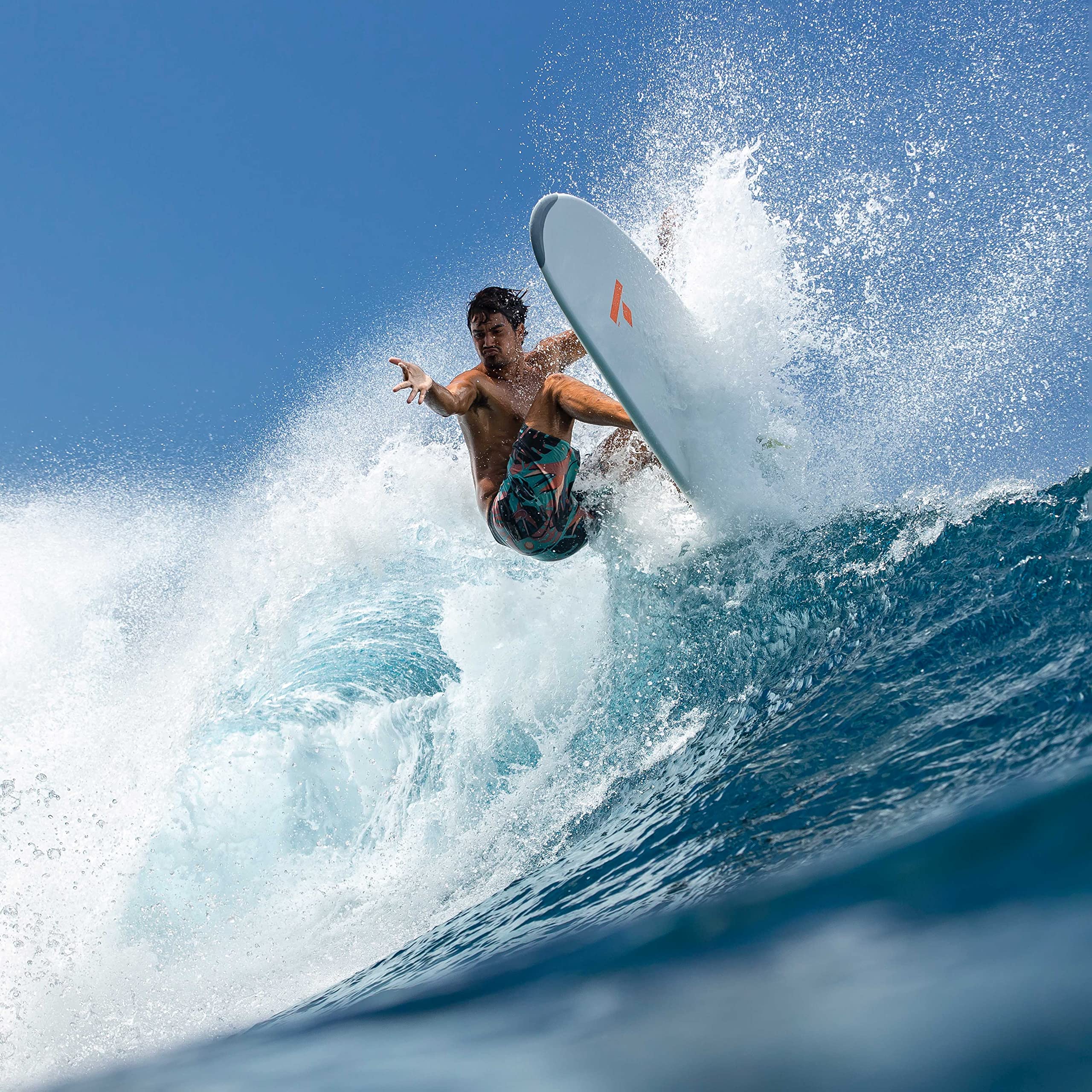 Amazon | タヘ TAHE SURFBOARDS 7'6 MINI LONGBOARD | TAHE