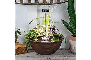 Aquascape Fountain Kit