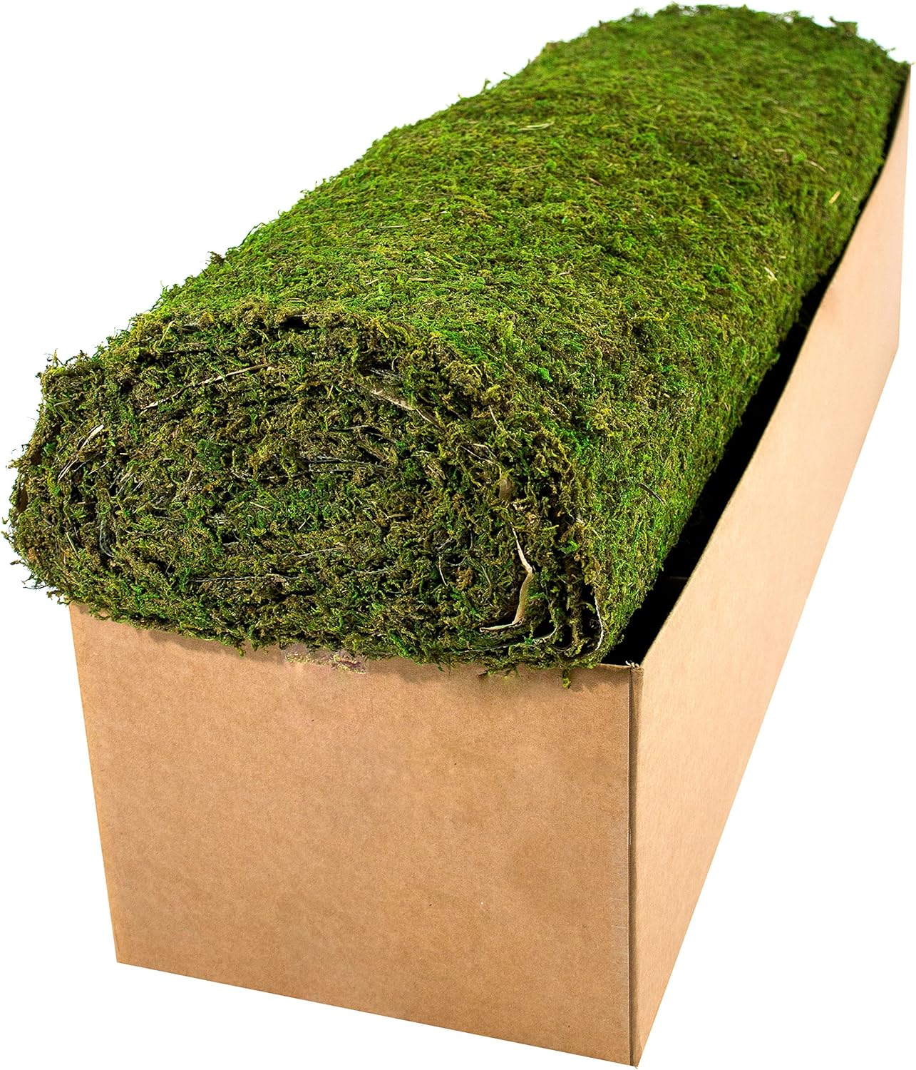 SuperMoss (22395 Instant Green Mountain Moss Mat, Fresh Green, 3ft x 25ft
