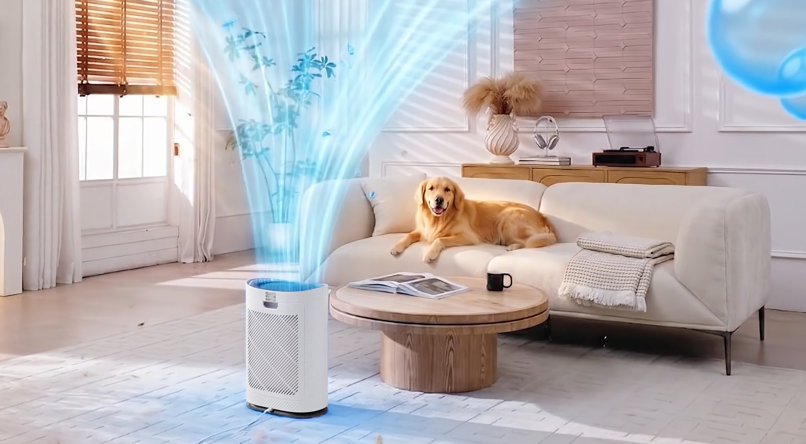 Amazon.co.jp: KEEPJOY 空気清浄機 ペット特化 【ペットの毛と臭い対策