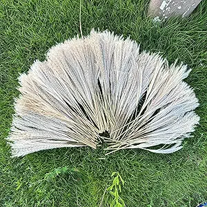 200 PCS Dried Pampas Grass Bouquet, Boho Table Decor,Fall Home Decorations, Super Quantity,for Wedding Boho Flowers Home Table Decor, Rustic Farmhouse Party (17 inch )