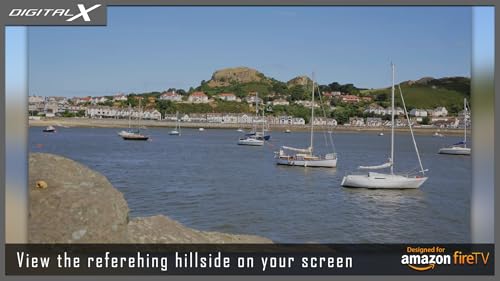 Harbour Boats Hill View