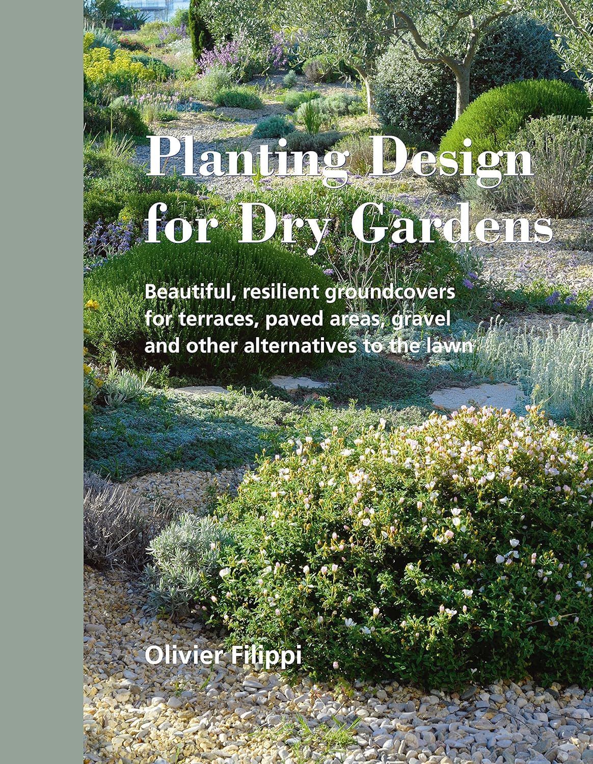 Planting Design for Dry Gardens: Beautiful, Resilient Groundcovers for Terraces, Paved Areas, Gravel and Other Alternatives to the Lawn      Hardcover – May 1, 2016