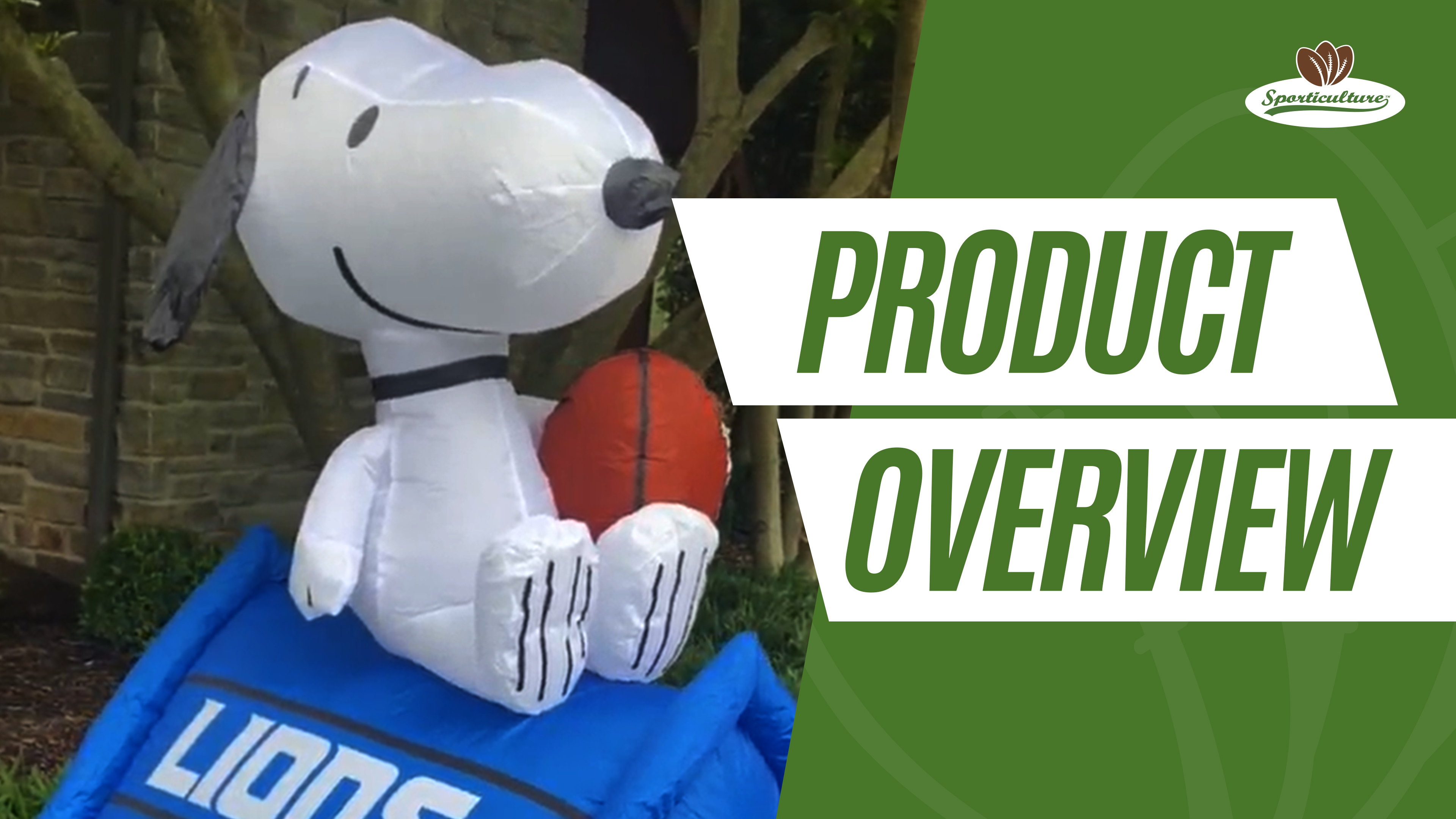 SNOOPY - skyler3494  Pittsburgh Steelers 4.5