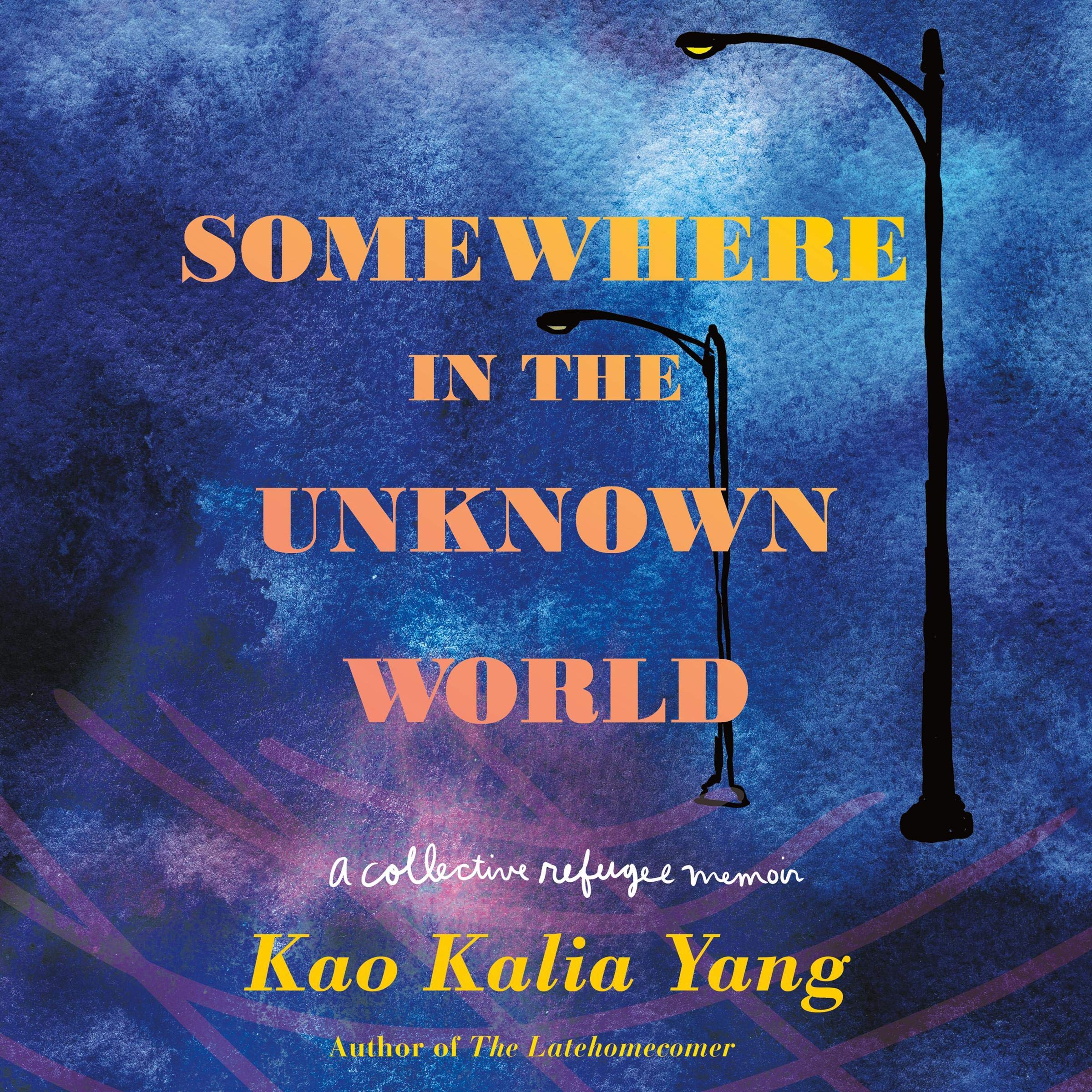 Cover art for Somewhere in the Unknown World