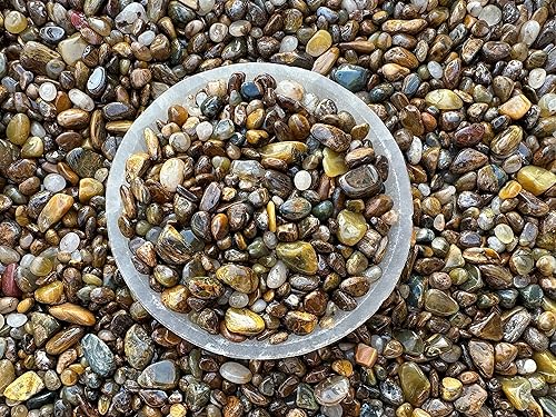 Miniatura 6 de GAF TREASURES Venta al por mayor Natural Semi Tumbled Gemstone Chips, Mini Cristales Triturados, Chips de Cristal Sin Perforar (Pietersita, 1 Libra)