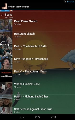 Python In My Pocket – vue 3