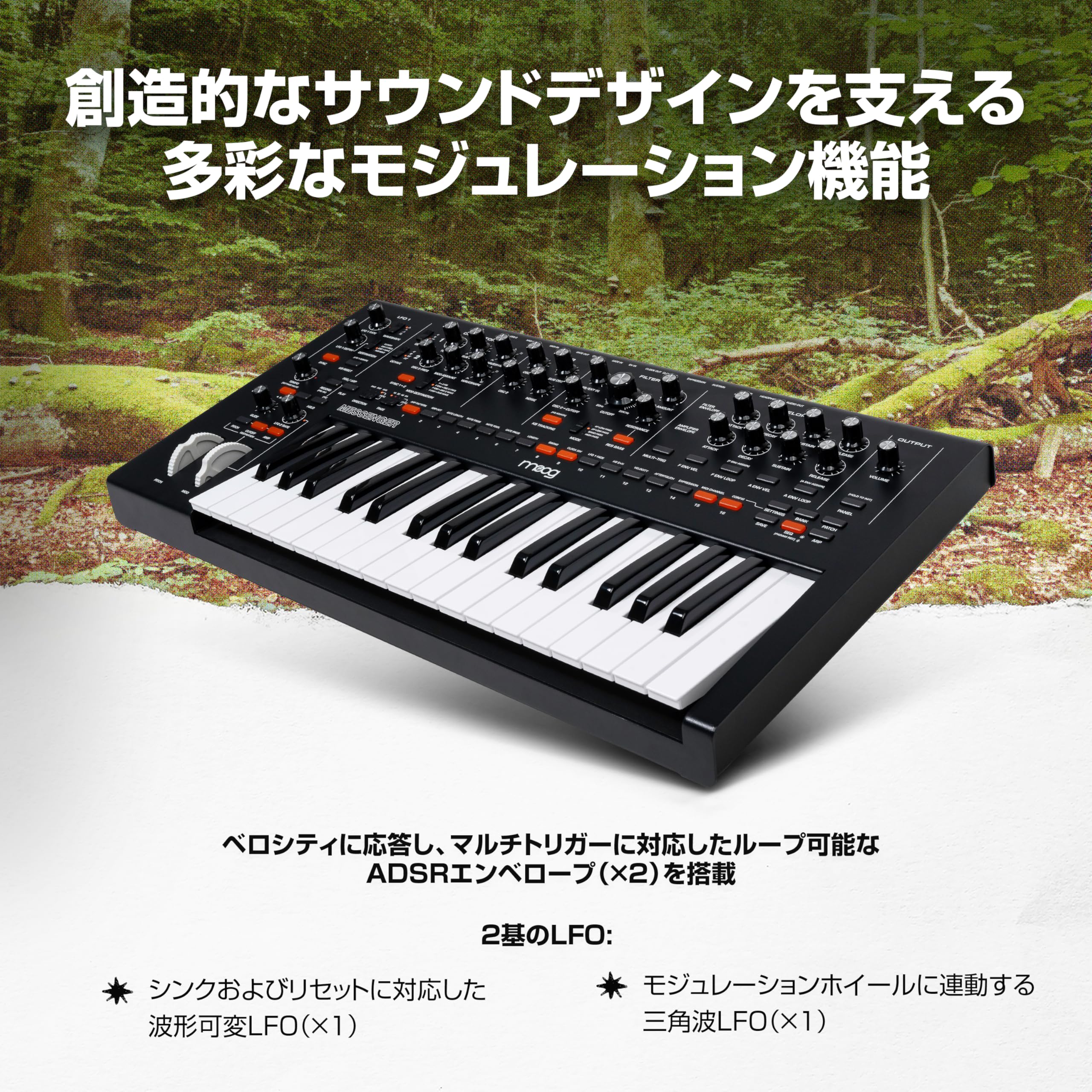 Amazon.co.jp: MOOG Messenger モノフォニック アナログ
