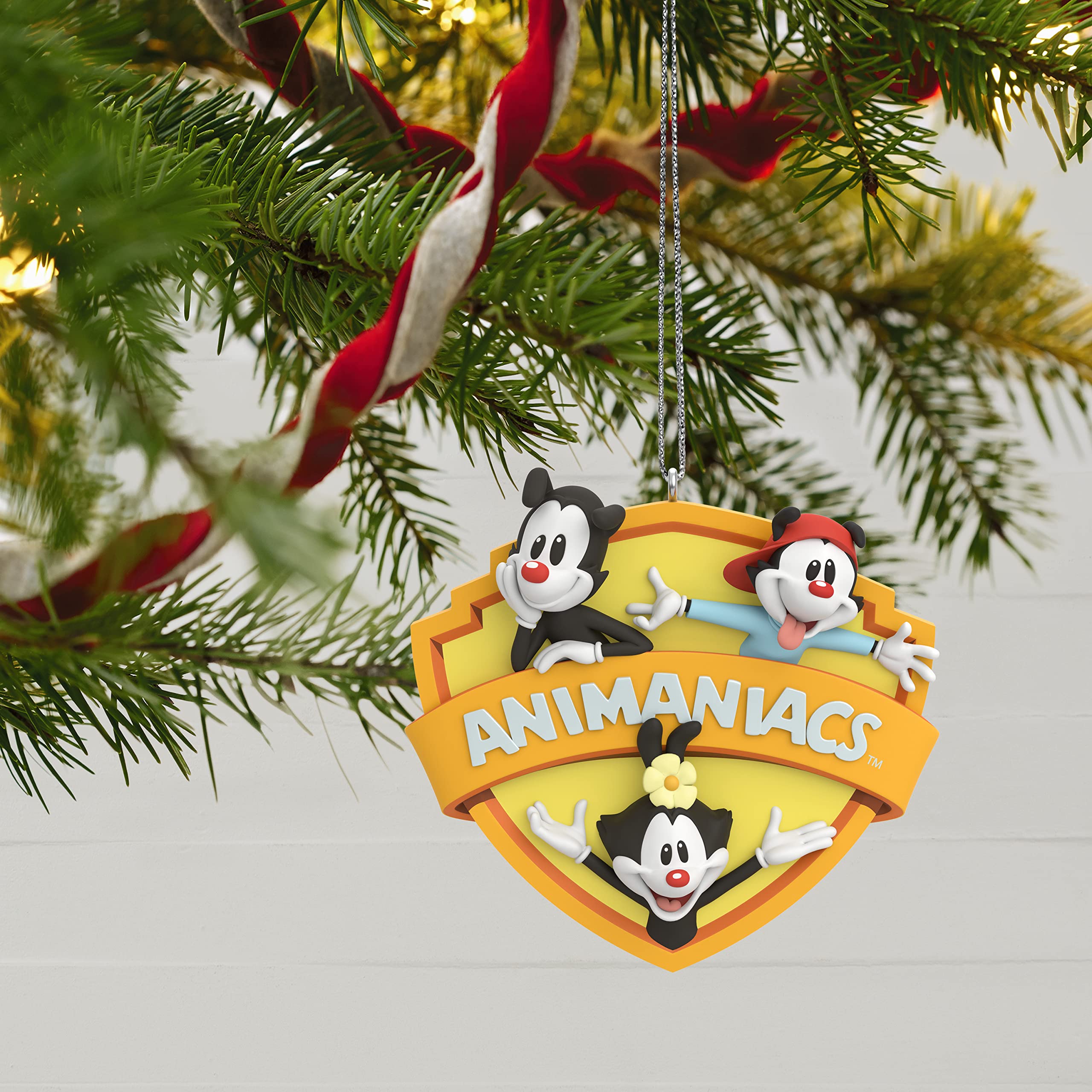 Amazon.com: Hallmark Keepsake Christmas Ornament 2023, Animaniacs